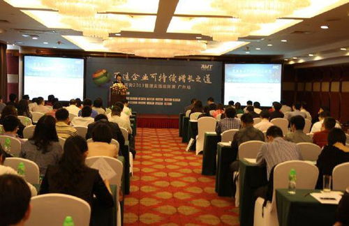 AMT咨询 信息技术咨询服务的专家