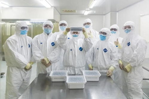 科技抗疫双喜临门 皖企新冠疫苗获临床批准，北京信息技术服务同步启动